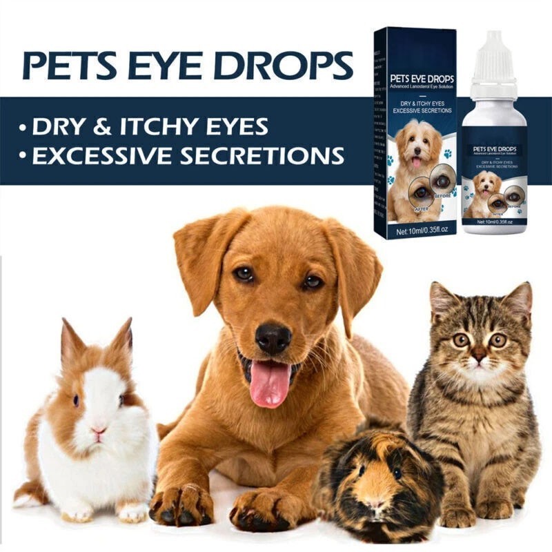 Lanosterol & NAC Dog/Cat Eye drops – Cataracts, Dry Eyes, Tearing, Lubricating