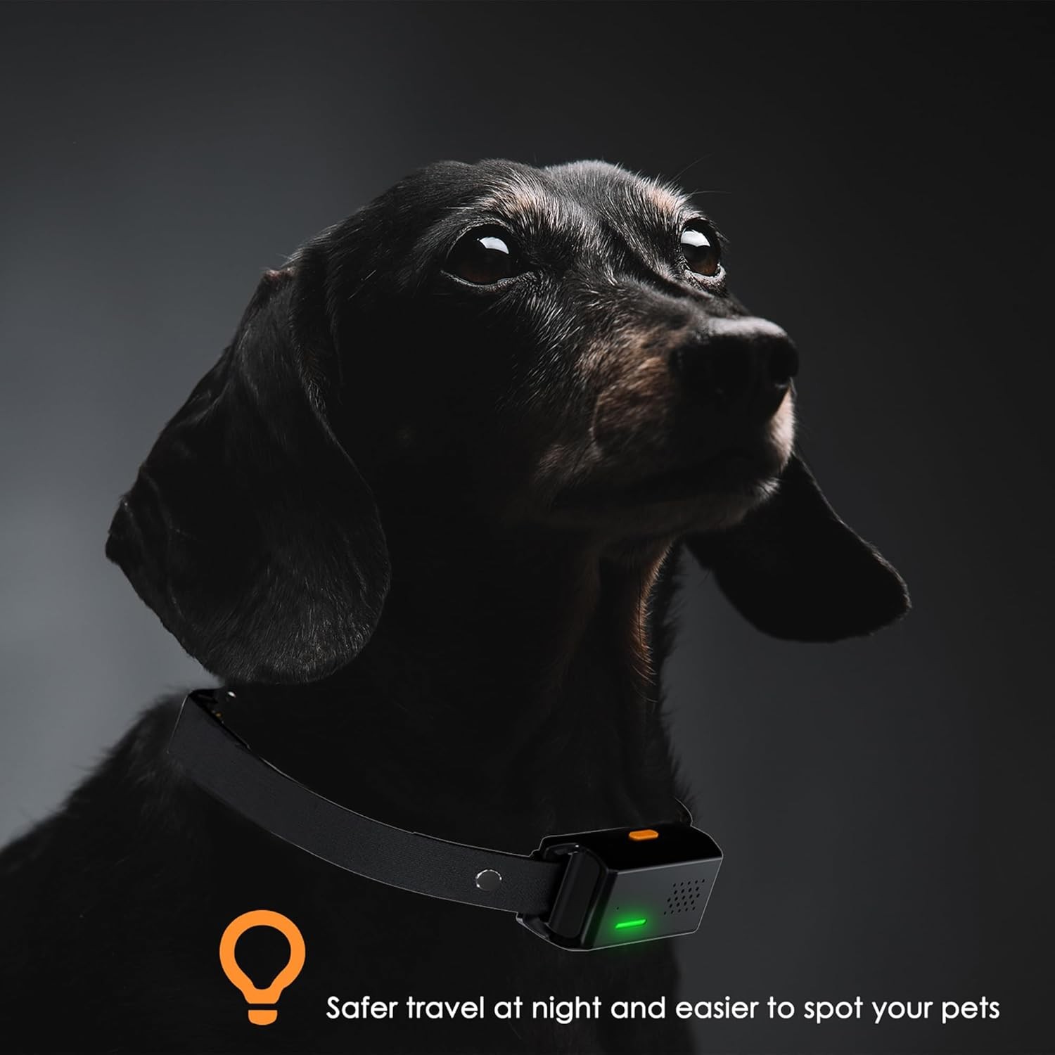 3300 FT Dog Training Collar Rechargeable Remote Shock Pet Waterproof Trainer