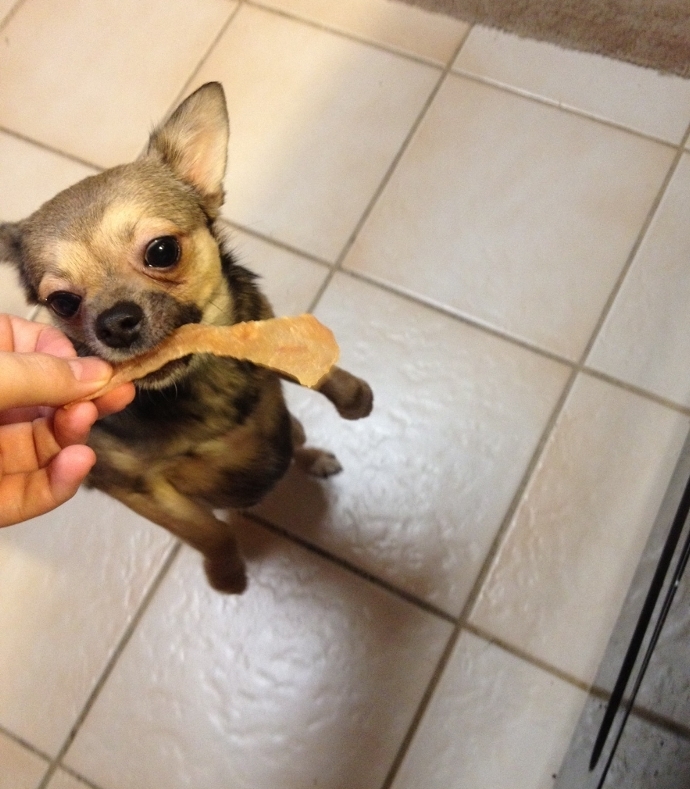 Natural Chicken Jerky Dog Treats – 100% Chicken, Made In USA, No Chemicals!!