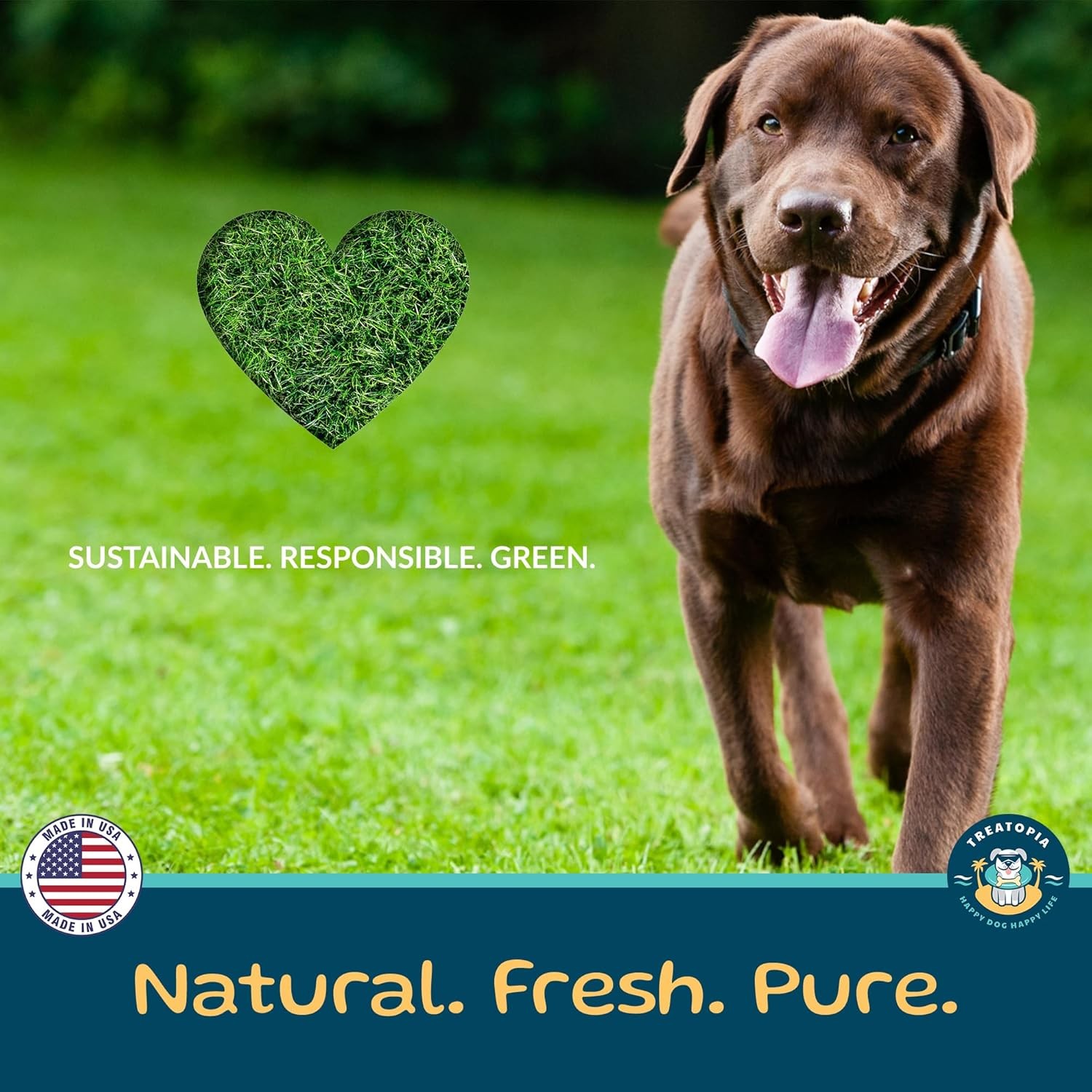 Beef Marrow Dog Bones USA Made All Natural Long Lasting Chews No Additive 3 Pack
