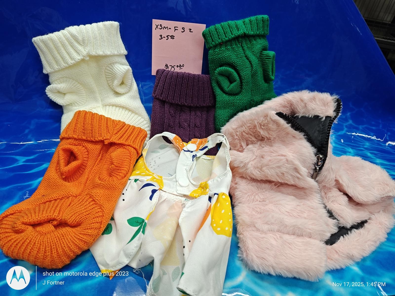 Dog Outfit Bundle ( Xtra Small 4 to 6 Pound Pets ) Brand New Save with a Bundle