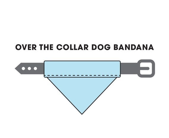 Dog Bandana Birthday Party Celebration Over the Collar Design Slide On Bandanna