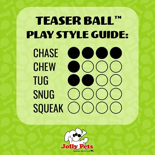 Jolly Pets 6 Inch Medium Teaser Ball Dog Toy for Fetch and Puzzle Fun