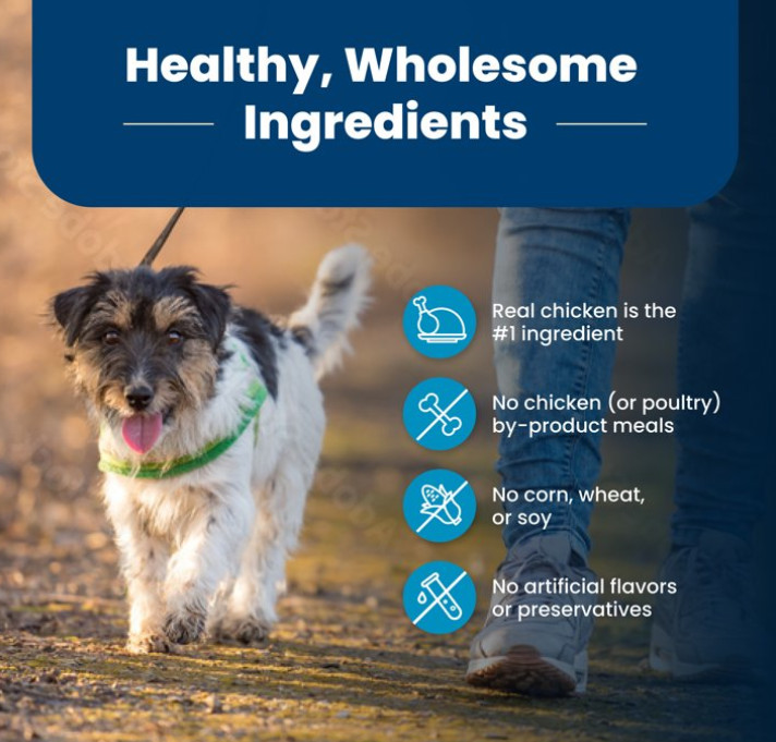 Blue Buffalo Life Protection Formula Small Bite Adult Dry Dog Food, 30lb
