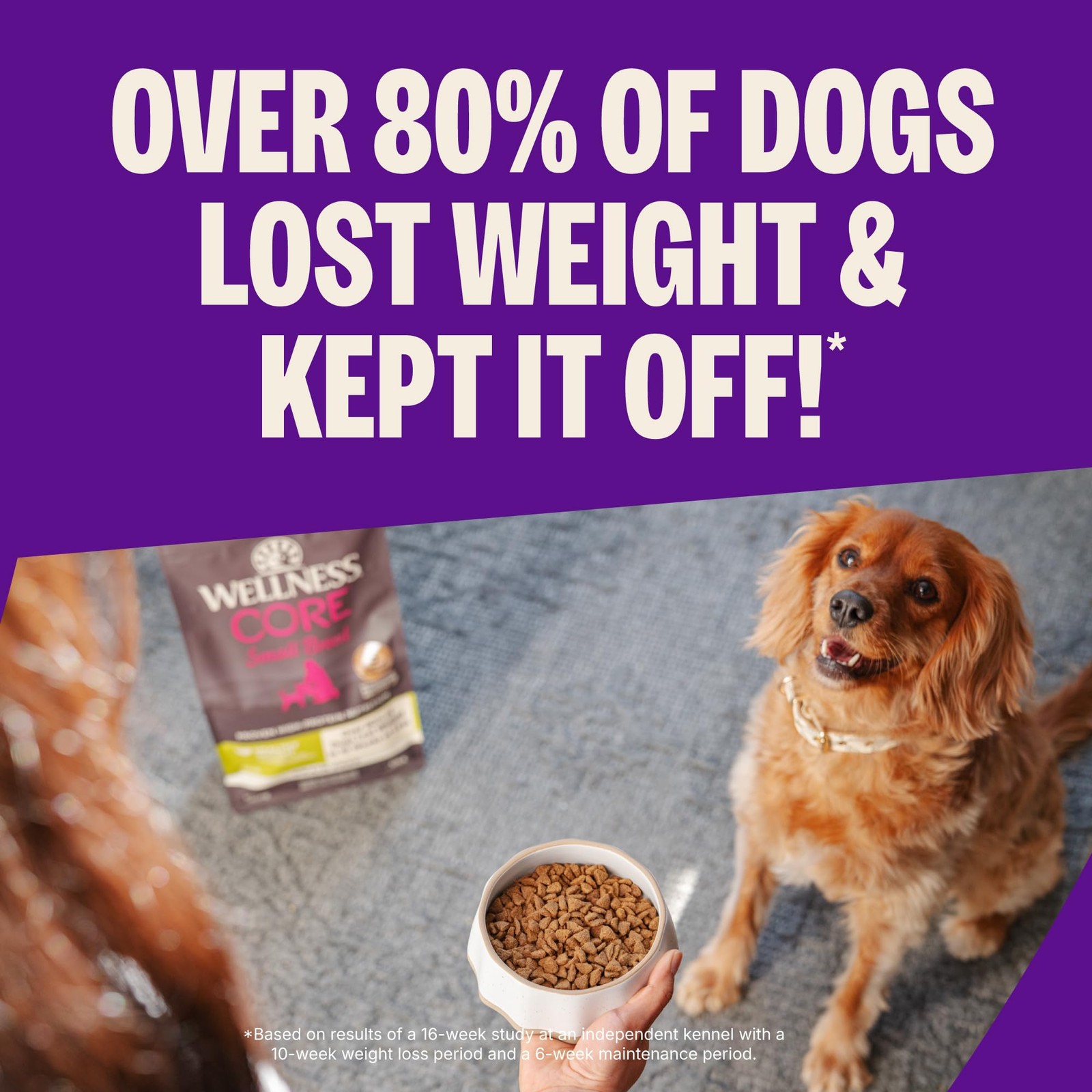 Wellness CORE Healthy Weight 4 Pound (Pack of 1), Small Breed