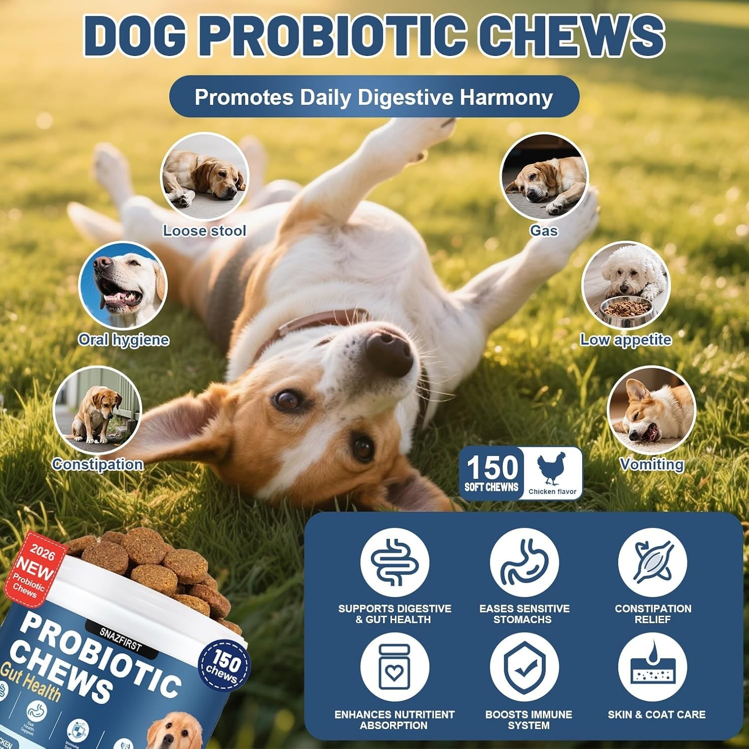 Probiotics for Dogs, Dog Probiotics Chews for Digestive Health & Gut Health, …