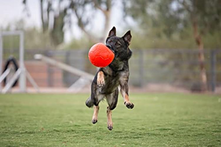 Jolly Pets Large Soccer Ball Floating-Bouncing Dog Toy, 8 inch Diameter,