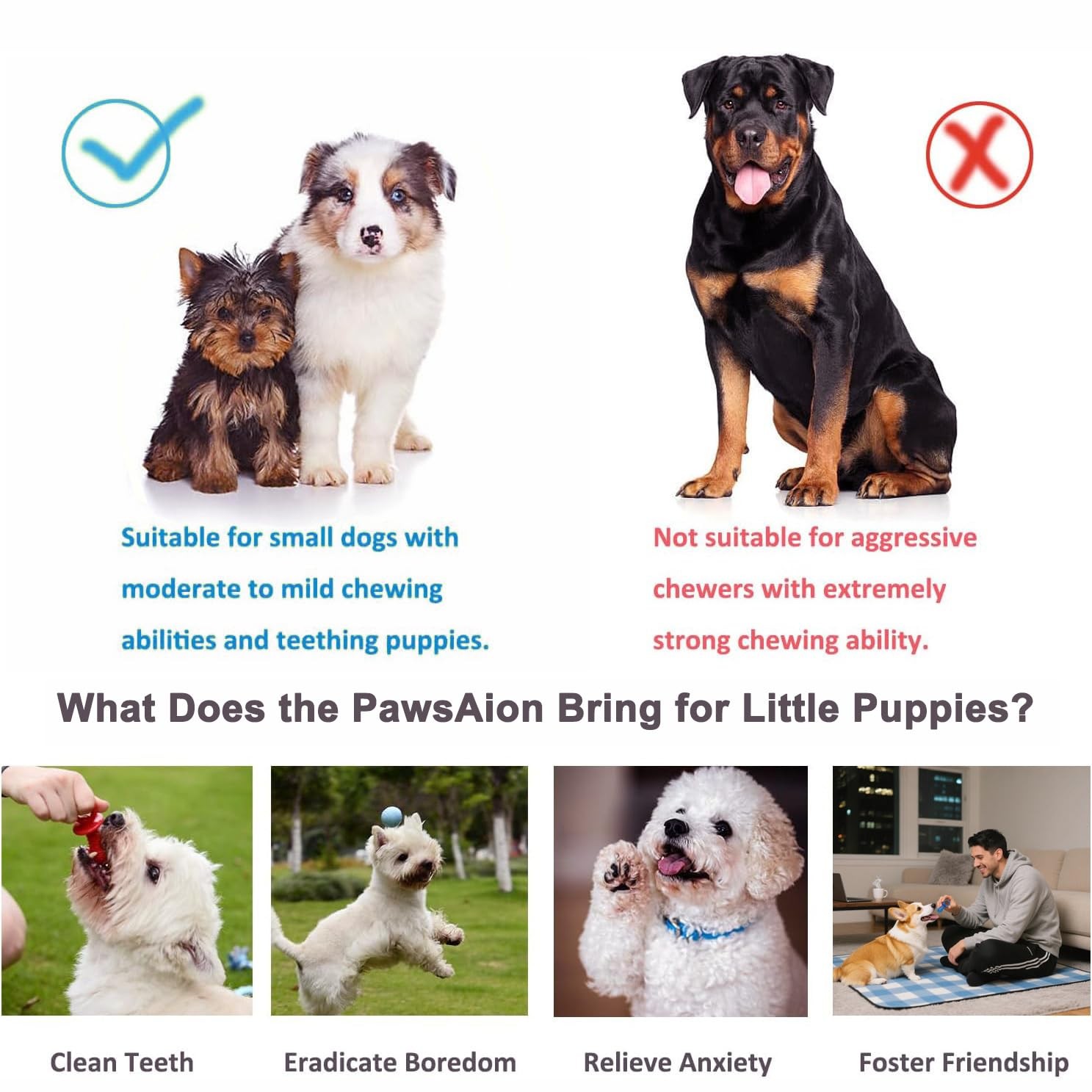 Puppy Chew Toys for Teething and Fun 20 Pack Dog Toys for Small Puppies Bulk