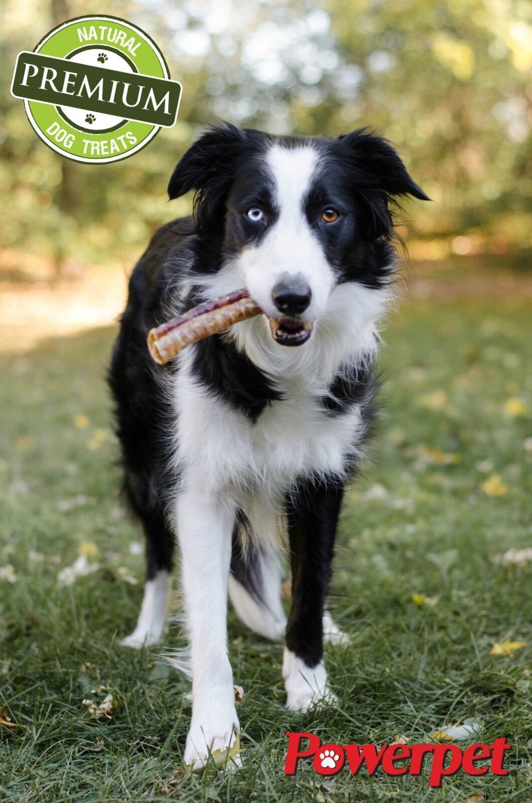 Beef Trachea 2in- BULK- Natural Dog Chew-100% BRC CERTIFIED