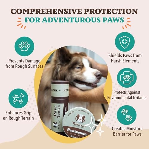Natural Dog Company Pawtection Balm – Dog Paw Protection