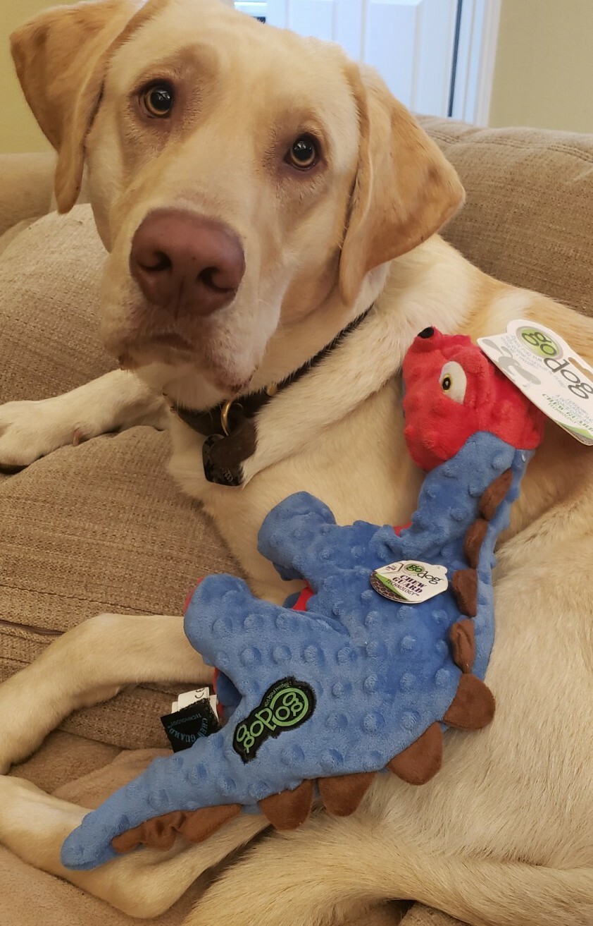 goDog Dinos Spike with Chew Guard Technology Squeaker Plush Dog Toys Large