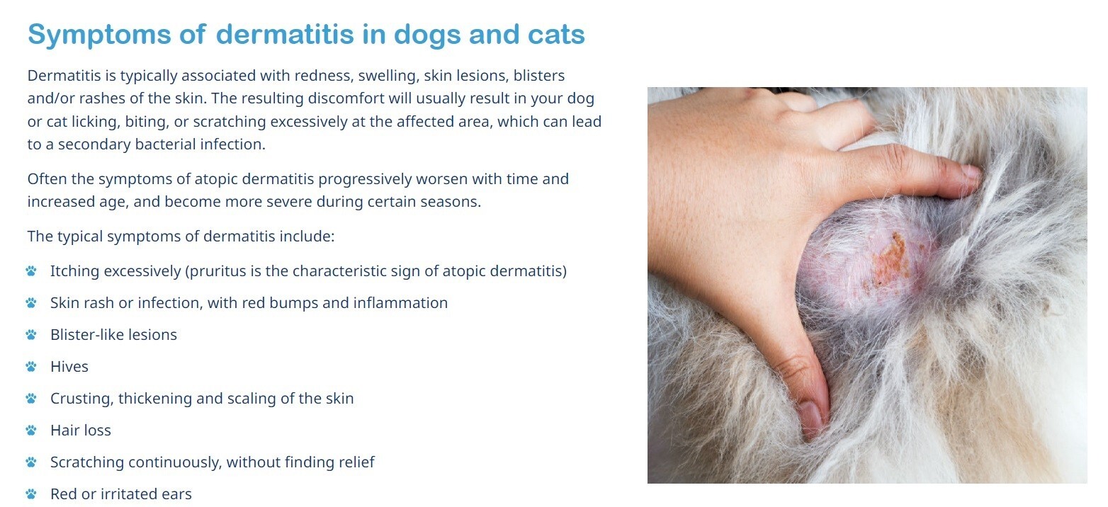 SKIN IRRITATION CREAM FOR PETS (4 Oz- Made in USA) Dogs and cats