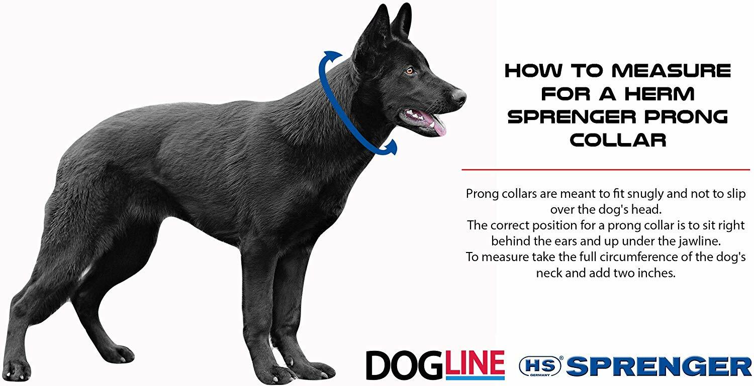Herm Sprenger Black Stainless Steel Prong Dog Training Collar Ultra-Plus