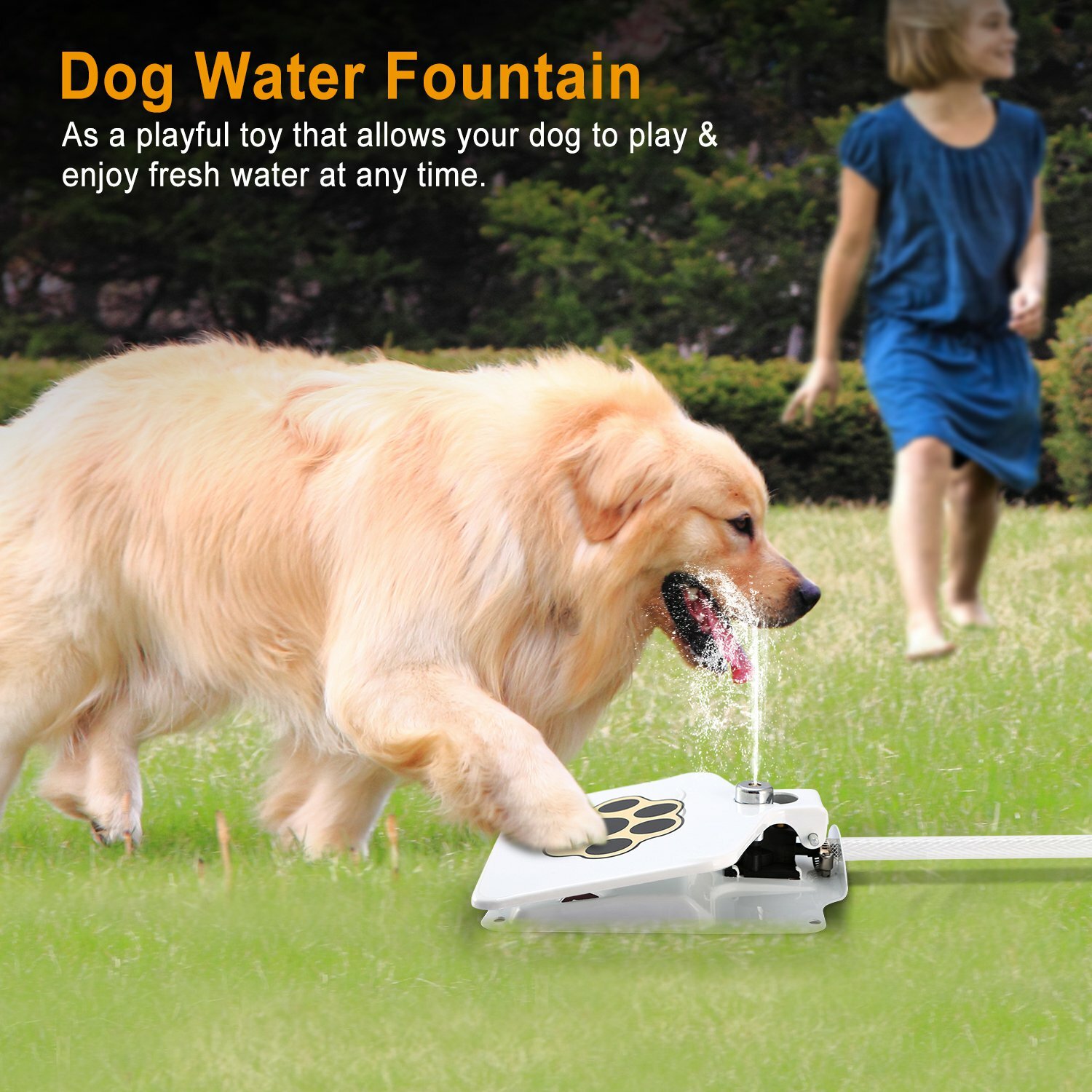 Outdoor Dog Pet Water Fountain Step-on Brass Valve Dispenser System Sprinkler