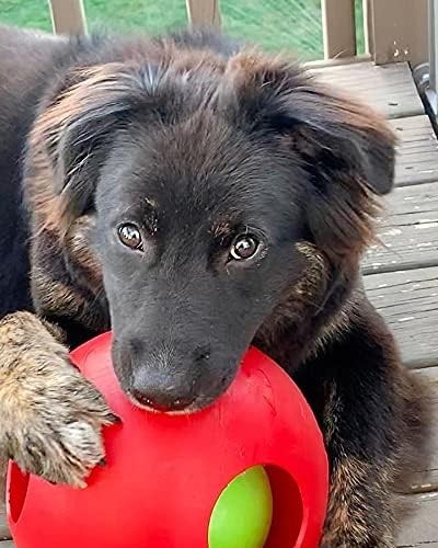 Jolly Pets Teaser Ball 8 inch Red Hard Plastic plus Squeaker Toy for Dogs