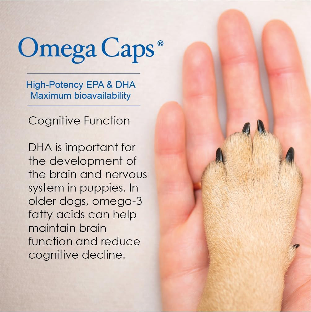 Omega Caps HP Snip Tips for Medium and Large Dogs High Potency EPA and DHA Maxim