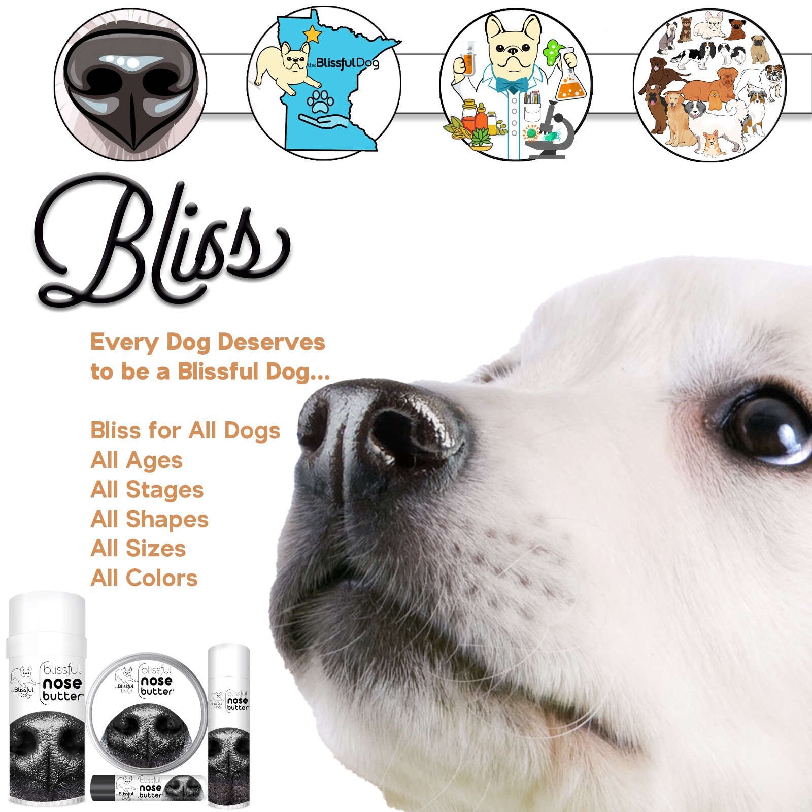 Shih Tzu Nose Butter | Herbal Balm Moisturizes Your Shih Tzu’s Rough Dry Nose