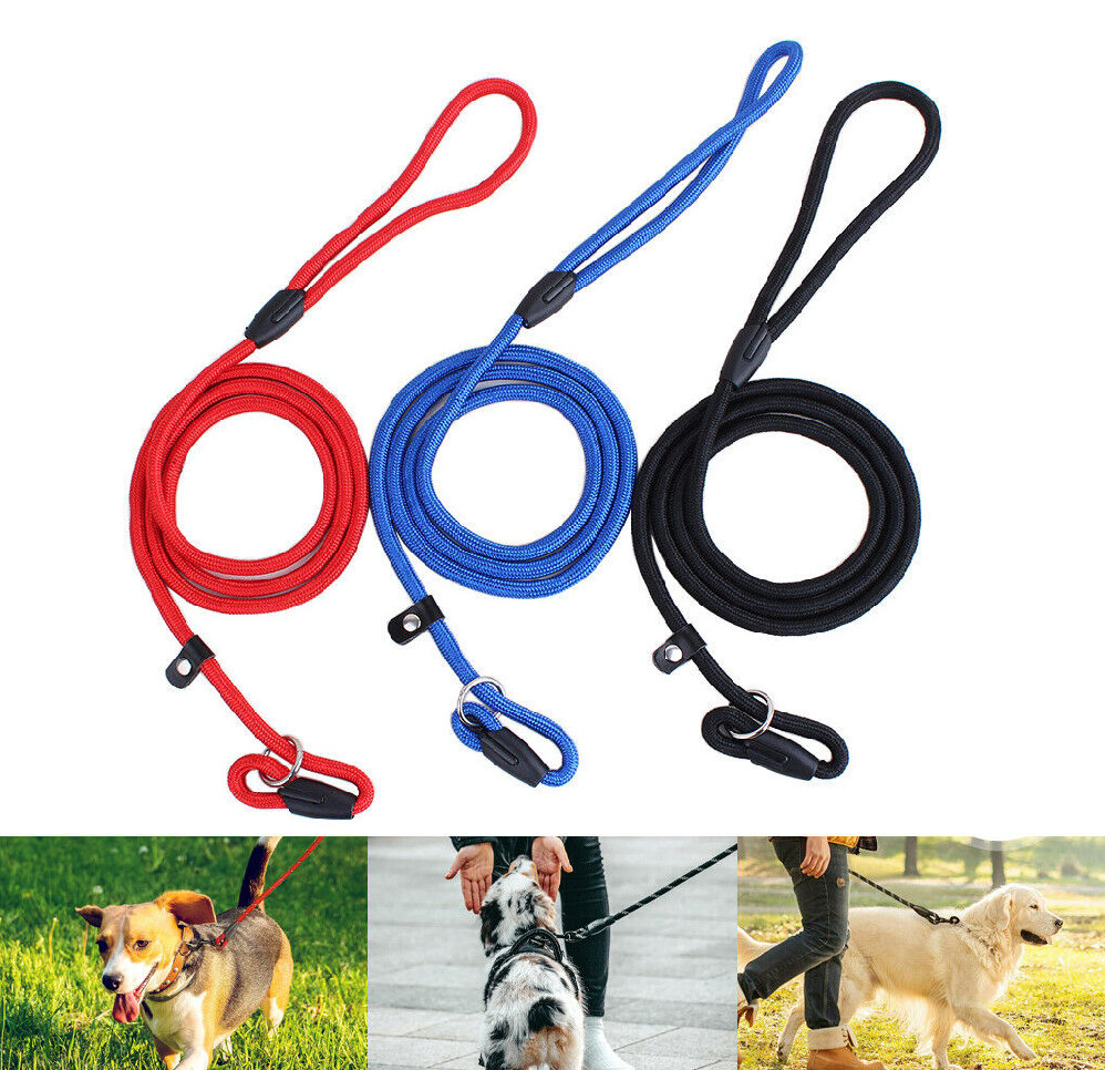 4ft Dog Nylon Adjustable Loop Slip Rope Leash Lead Training Choke Pet Collar USA