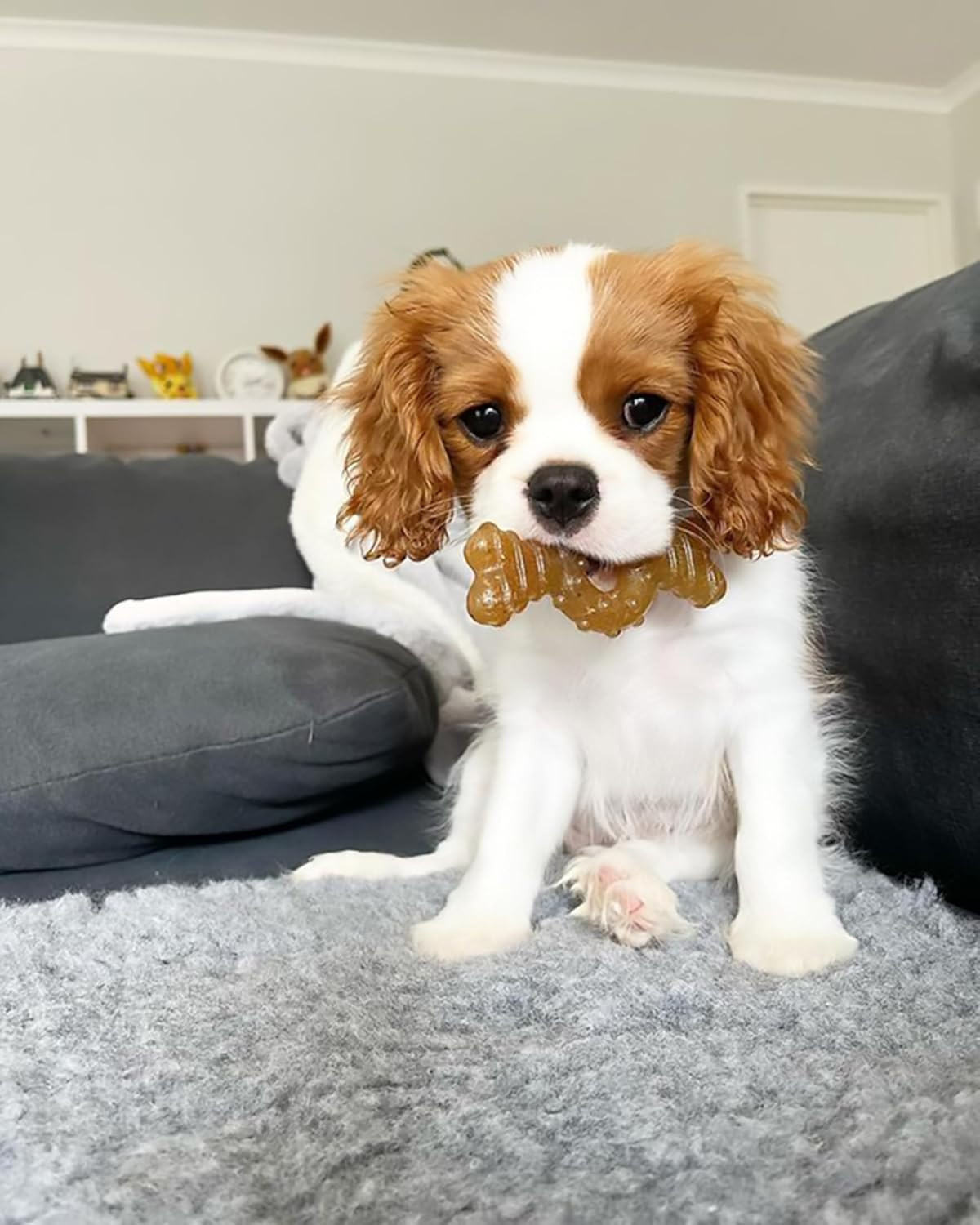 Ring Bone Chew Toy for Puppies, Puppy Teething Toys, Puppy Enrichment Toys, Chic