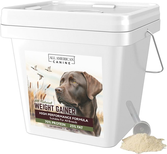 Dog Weight Gainer – Dog Protein Powder – High Calorie Dog Food Supplement
