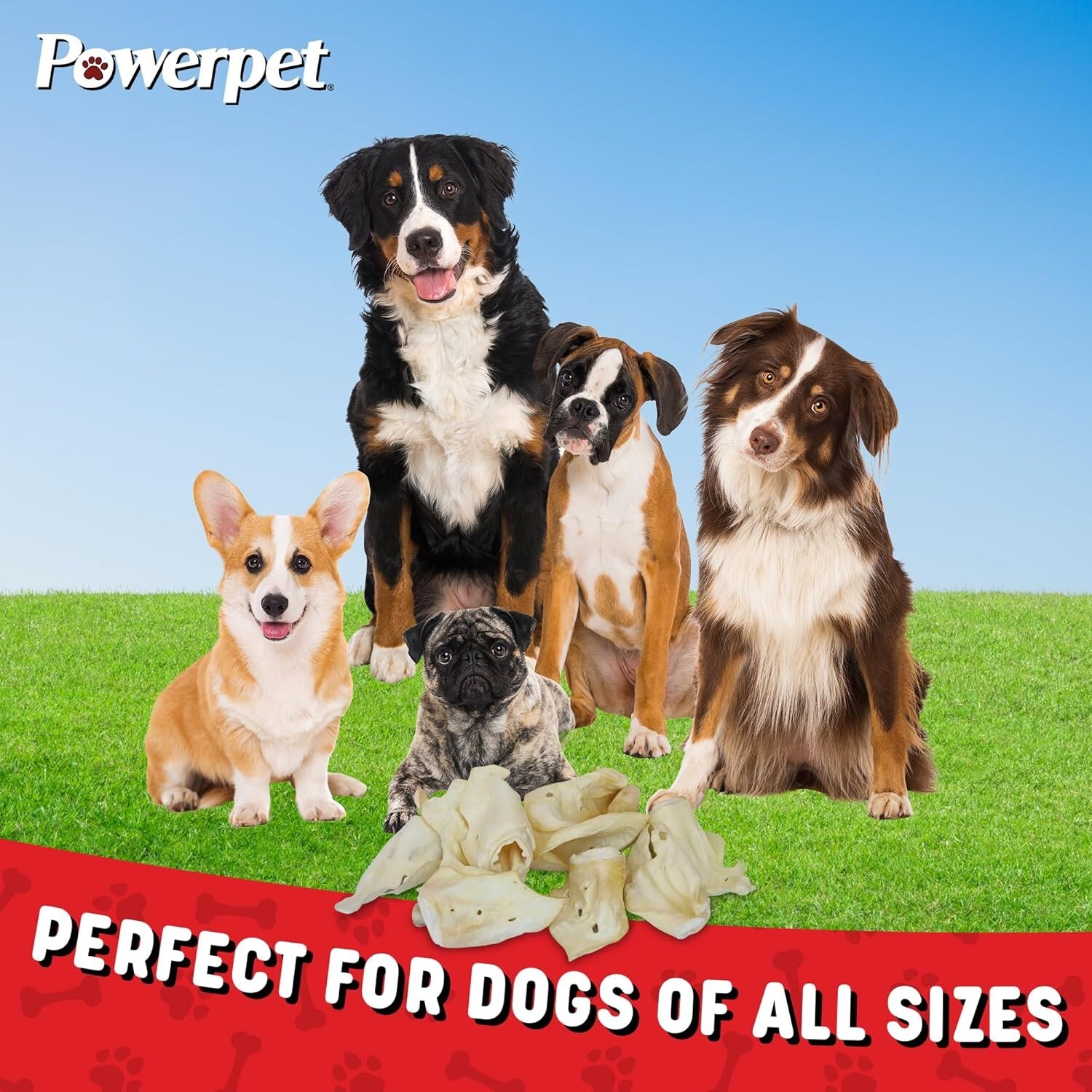 ALL NATURAL Beef Cow Ears-DOG Treats 25CT Natural Flavor-FDA & USDA APPROVED