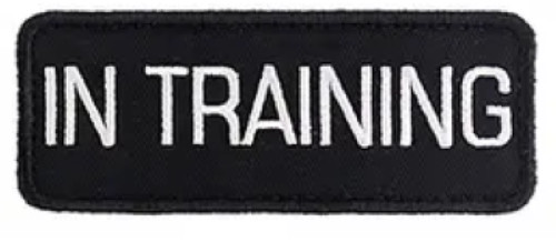 Vest Patches: Service Dog | Therapy | ESA Support Dog | PTSD | ALL ACCESS CANINE