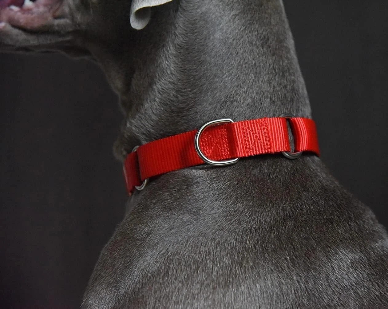 Adjustable Martingale Dog Collar Heavy Duty Nylon Safety Training Design