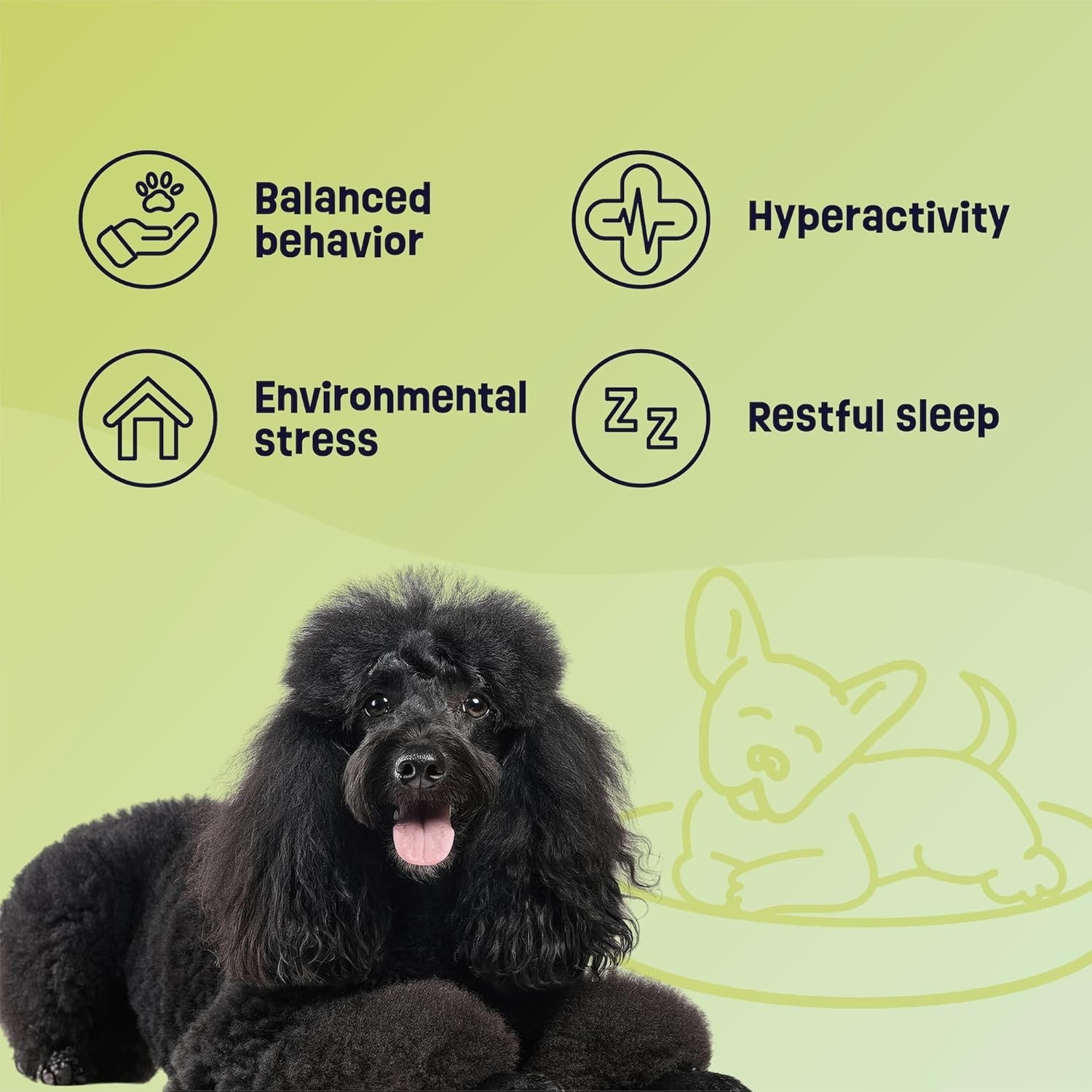 Calming Organic Dog Treats – Supports Relaxation & Balanced Behavior – with Ashw
