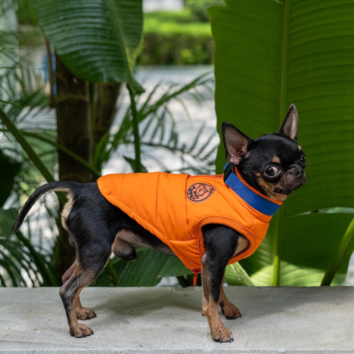 Dog Clothes Hoodie Cozy Warm Outfit Sweater Pullover Hug Pupee