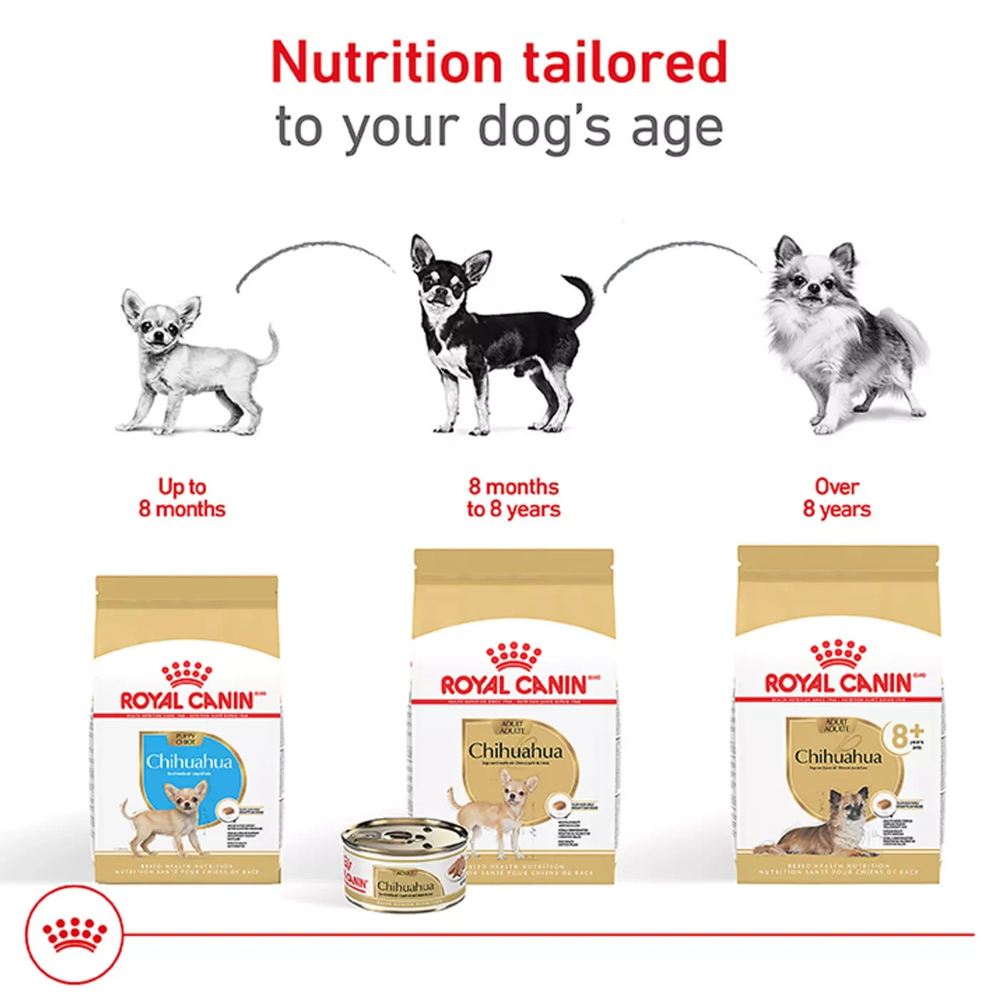 Royal Canin Chihuahua Adult Dry Dog Food Breed Specific Nutrition 2 lb Bag