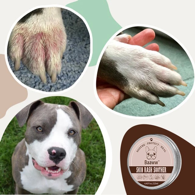Dog Skin Rash Soother, Easy to use Stick 4.23OZ,Allergy and Itch Relief for Pets