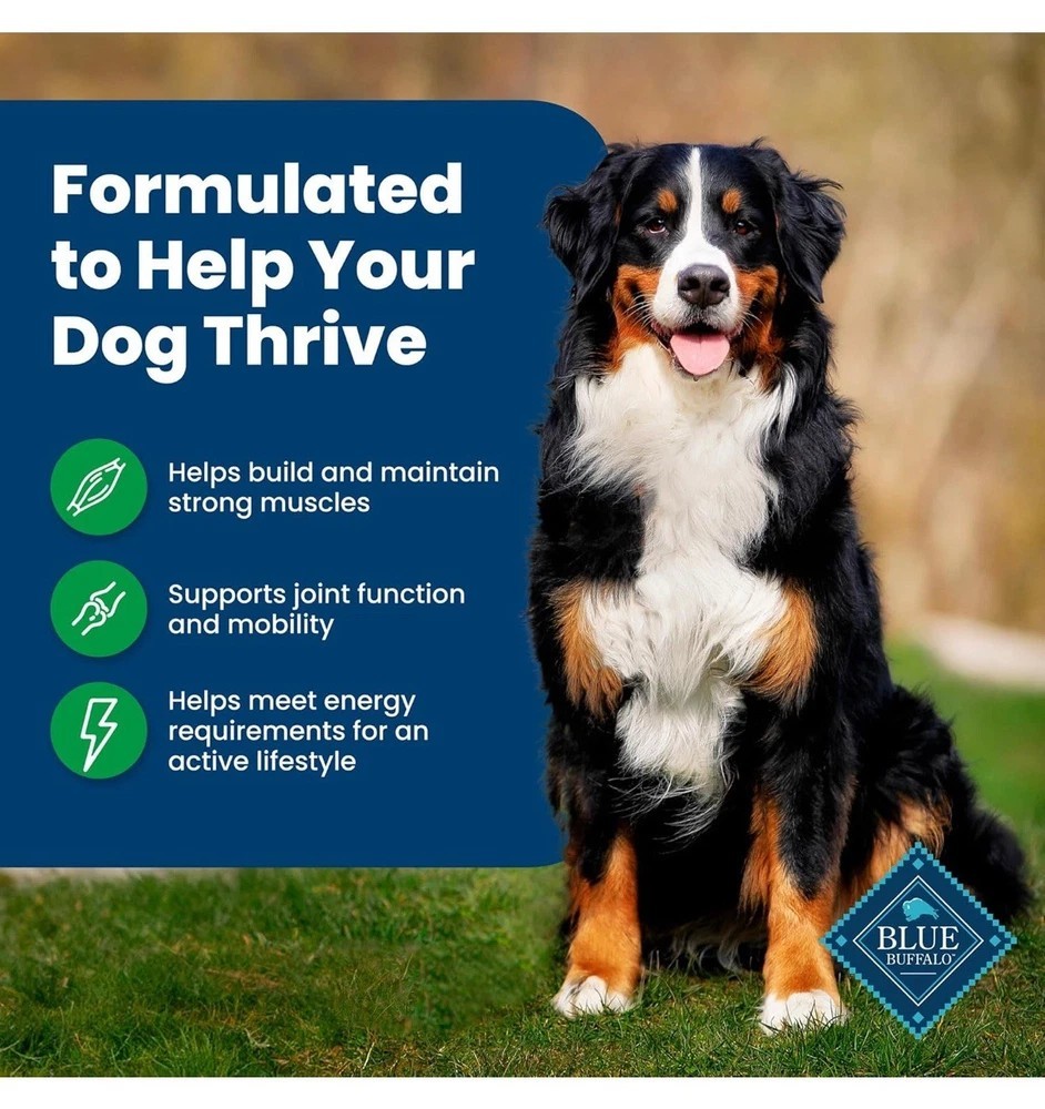 Blue Buffalo Life Protection Formula Adult Dry Dog Food, Lamb & Brown Rice,5lb
