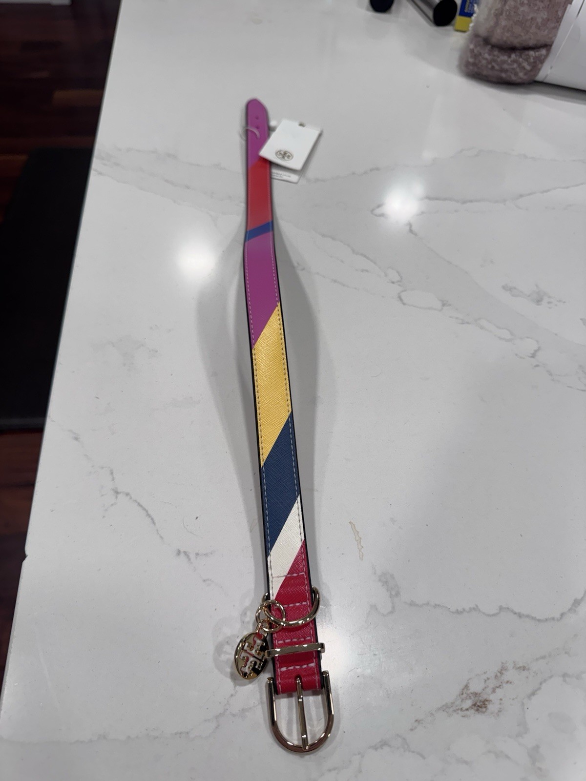 Tory Burch Multi Striped Dog Collar M/L