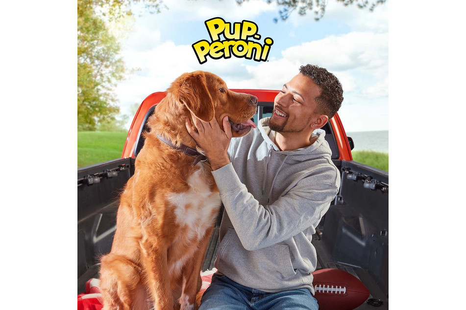 Pup-Peroni Dog Treats Original Beef Flavor 46oz Soft Chewy Snacks