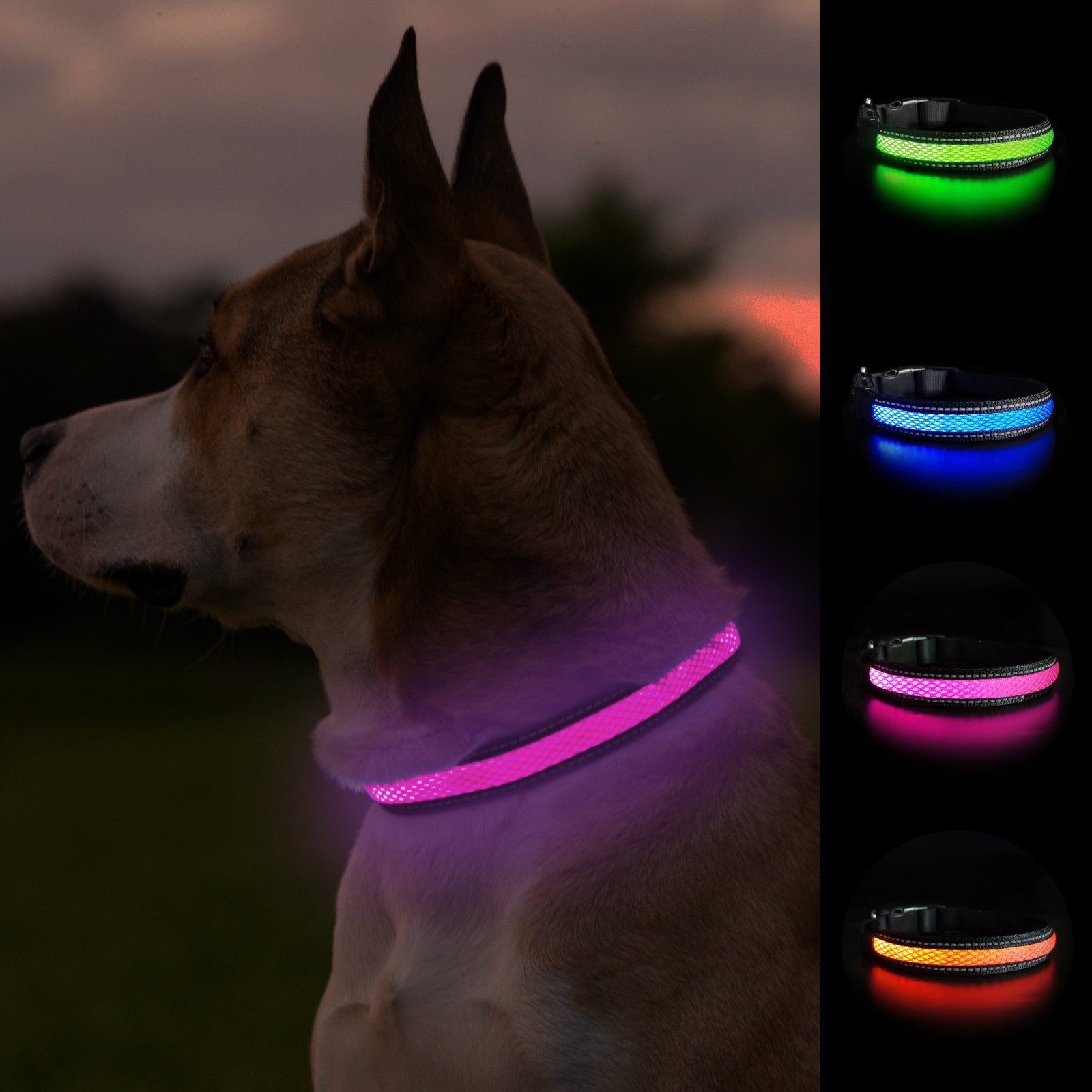 Balk Pets Led Dog Collar High Visibility Glow in The Dark Anti Car Accident Nigh