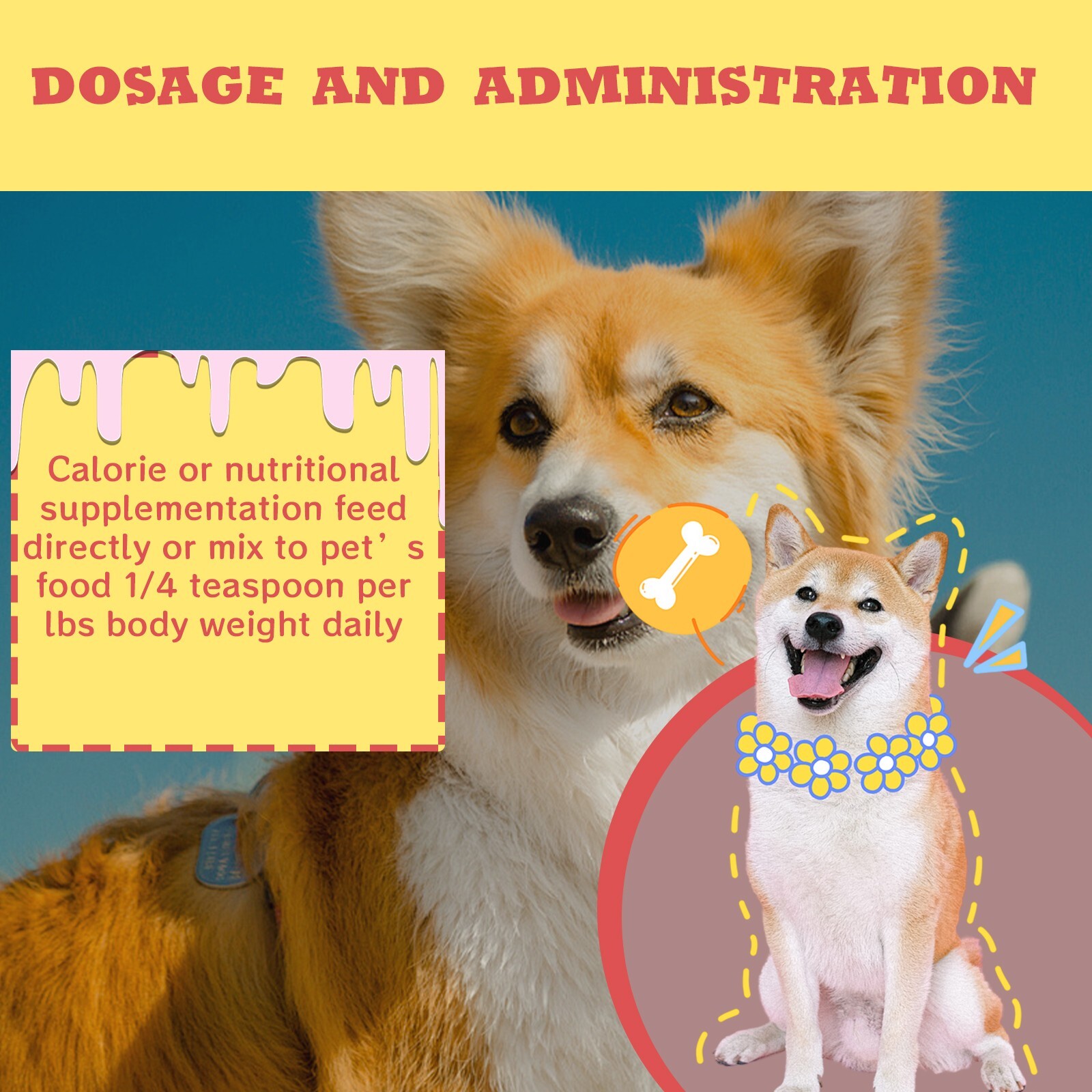High Calorie Nutritional Gel for Cats and Dogs with Vitamin D for All Breeds