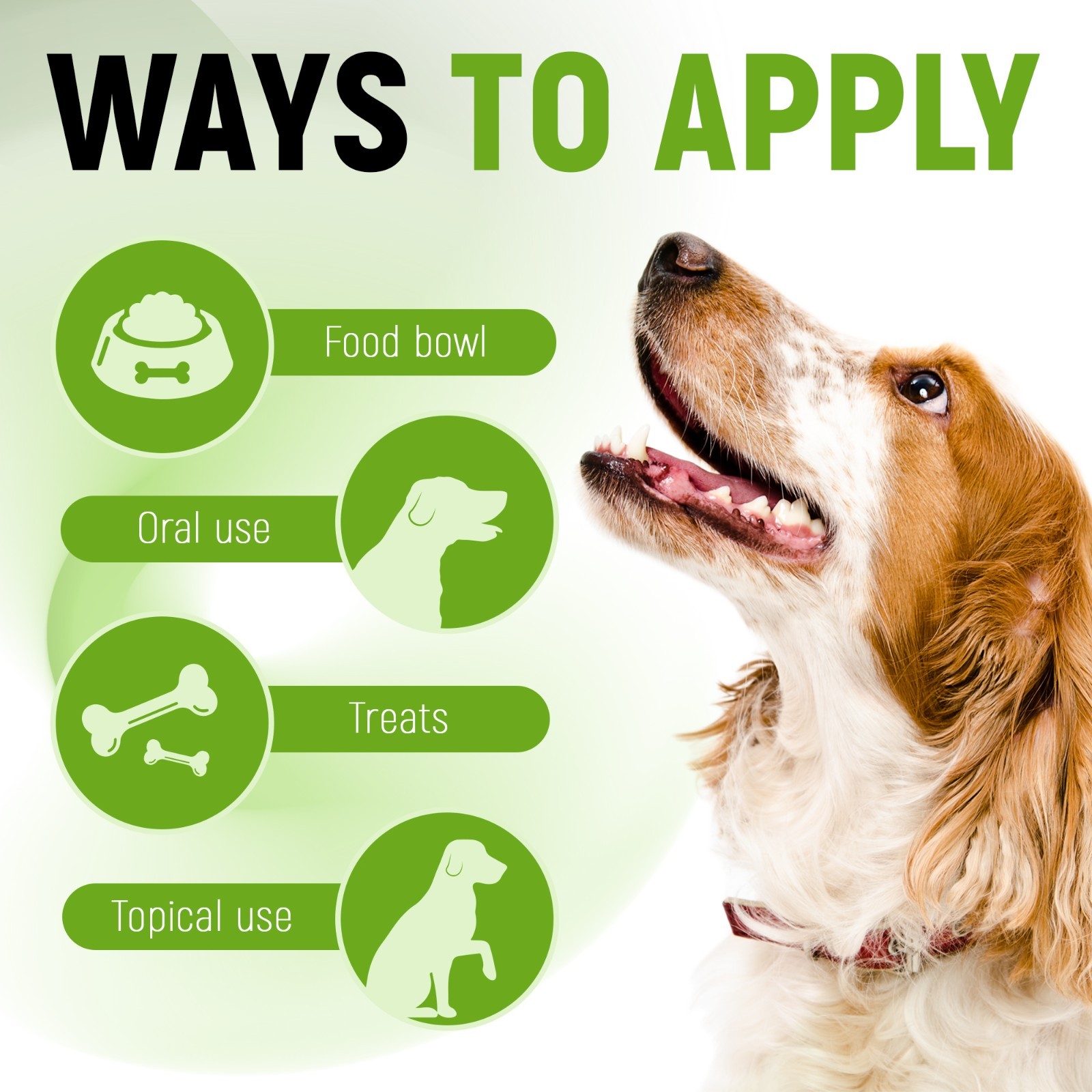 Probiotics for Dogs & Cats | Digestion Balance, Prebiotic Blend | 2 Oz