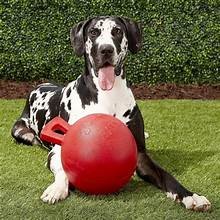 Jolly Pets Tug-N-Toss 10 inch Red Rubber Ball with Handle Chew Toy for Dogs