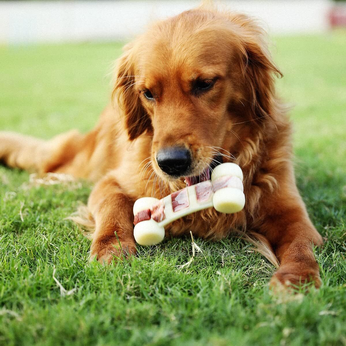 Tikaton Hammerbone Indestructible Dog Chew Toys Bones for Aggressive Chewers Toy