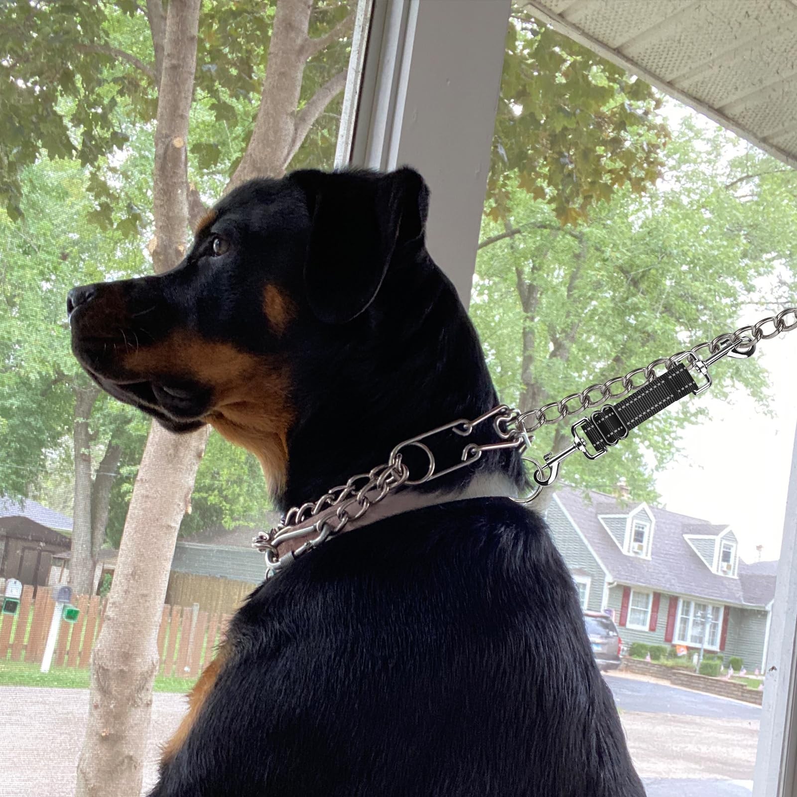 2 Pack Reflective Dog Collar Backup Clips Adjustable Safety Leash Connector