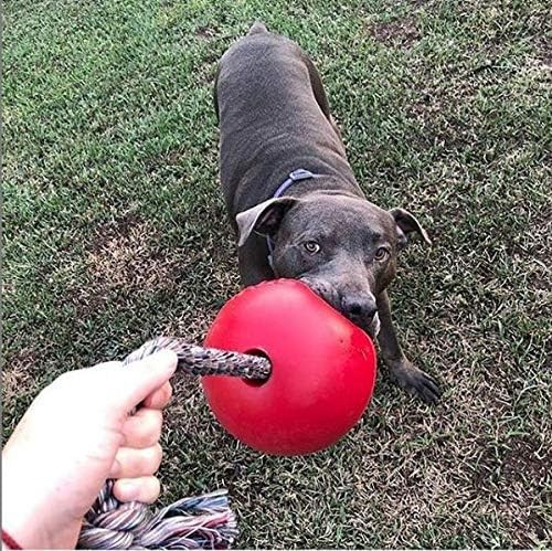 Jolly Pets Romp-n-Roll 8 inch Red Rubber Ball with Rope for Dogs