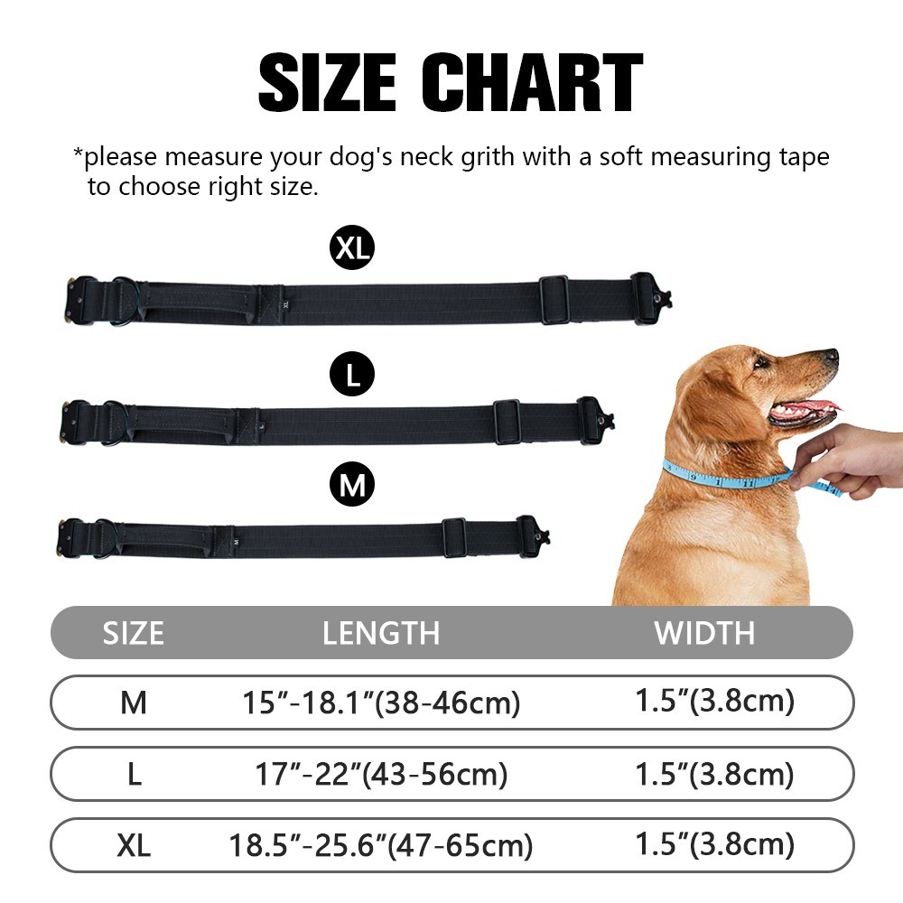 TSG Nylon Heavy Duty Dog Collar With Handle CanineTraining Walking
