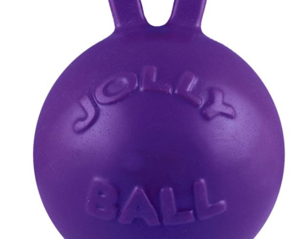 Jolly Pets Tug-n-Toss Ball with Handle Purple 4.5 inch Rubber Toy for Dogs