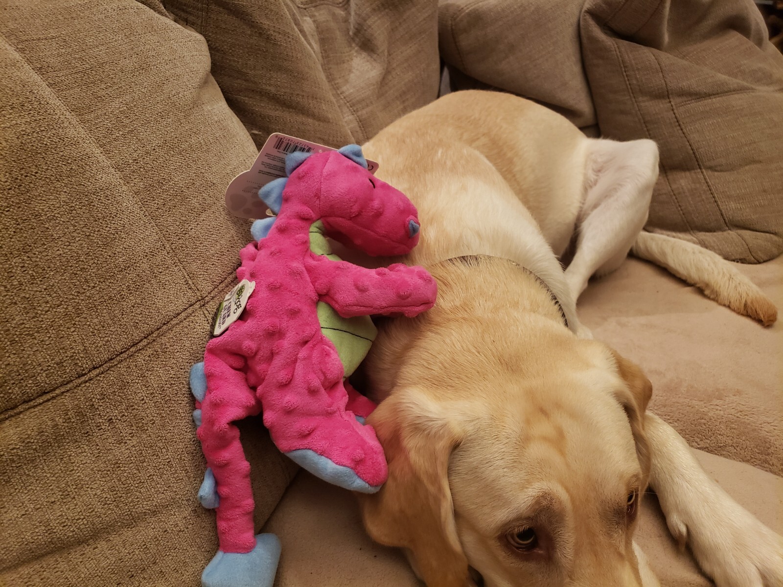 goDog Dragons Large Pink Chew Guard Squeaker Plush Dog Toy 770972