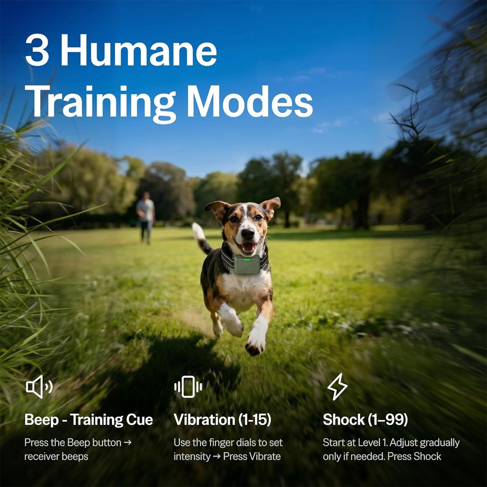 Dog Training Collar 4500FT Remote Rechargeable Waterproof Shock E-Collar 2 Dogs