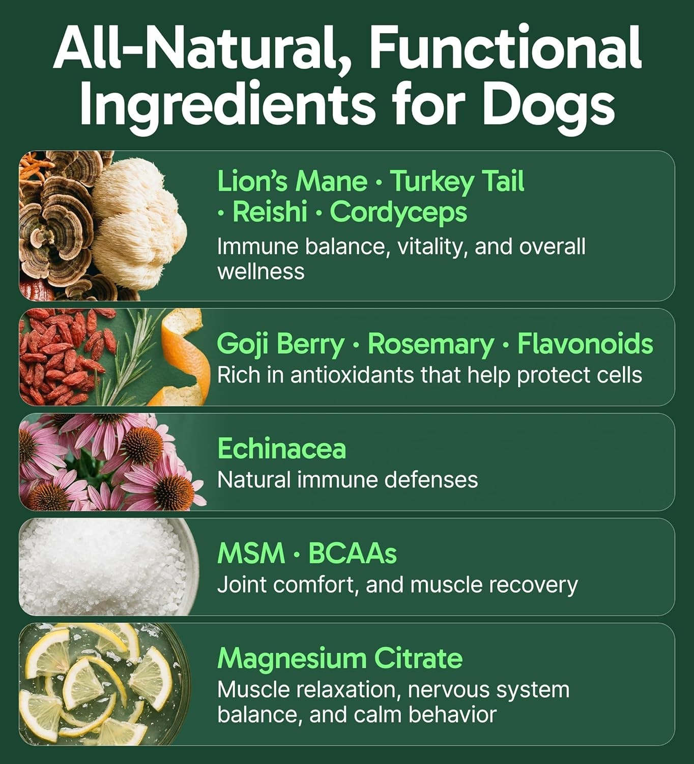 Pup Labs K9 Immune, All-Natural Mushroom Powder for Dogs for Immunity-30 Serving