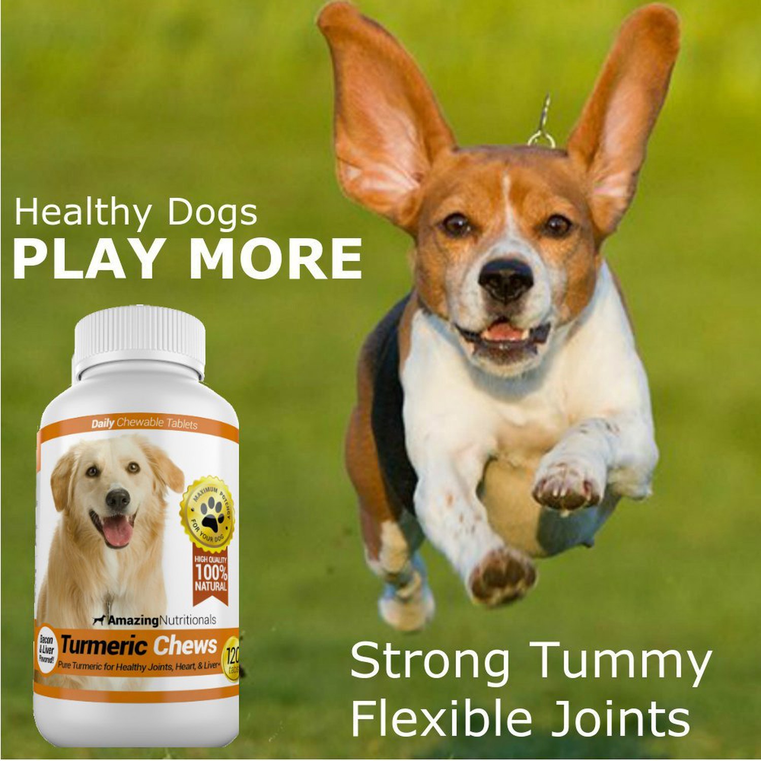 Amazing Turmeric for Dogs Curcumin Pet Antioxidant, Eliminates Joint Pain Inf…