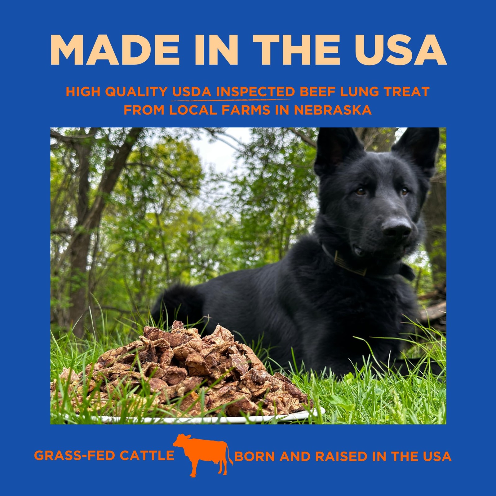 Beef Lung Dog Treats – 100% Natural, Single Ingredient, (2.5 Pound) Made in t…