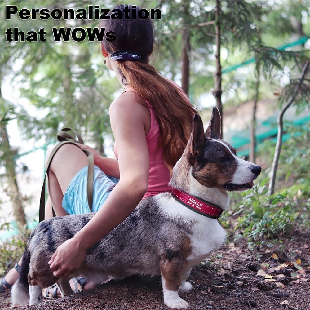Personalized Nylon Reflective Dog Collar Engraved Custom ID Tag Name/Number