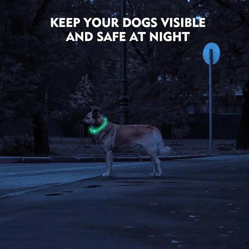 RECHARGEABLE LED Light-up Flash GLOW COLLAR Dog Pet Safety MICRO USB adjustable